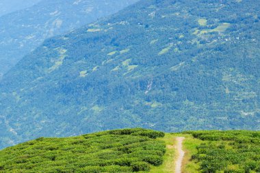 Ravangla, Sikkim 'in Temi Çay Bahçesi, güzel geniş çay tarlaları, yavaş yavaş eğimli tarlalar ve arka planda mavi gökyüzü. Sikkim 'de sadece bir çay bahçesi, dünyanın en iyilerinden biri..