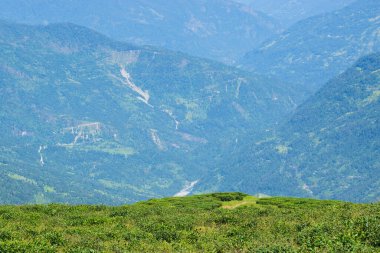Ravangla, Sikkim 'in Temi Çay Bahçesi, güzel geniş çay tarlaları, yavaş yavaş eğimli tarlalar ve arka planda mavi gökyüzü. Sikkim 'de sadece bir çay bahçesi, dünyanın en iyilerinden biri..