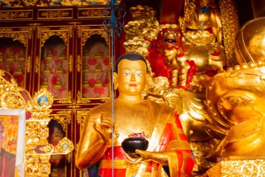 Goutam Buddha 'nın dini altın heykeli, Budist dini sembolü Sikkim Manastırı - Sikkim, Hindistan. İzinle resim çekimi.