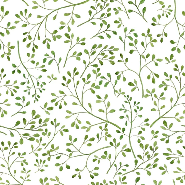 Watercolore abstract floral seamless pattern. Bright colors, painting on a light background. Seamless pattern of elegant and dainty leaves.