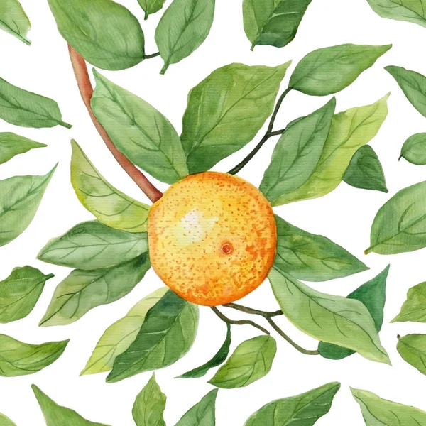 Beyaz yalıtılmış arka planda tekstil tasarımı için yeşil yapraklı dallar üzerinde portakal rengi deseni. Suluboya portakallar pürüzsüz, eski tarz, parlak renkler