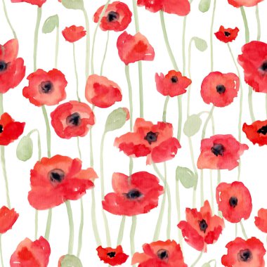 Beyaz yalıtılmış arka planda güzel tasarım için sapları ve tomurcukları olan kırmızı gelincikli suluboya desenleri. Suluboya soyut sanat