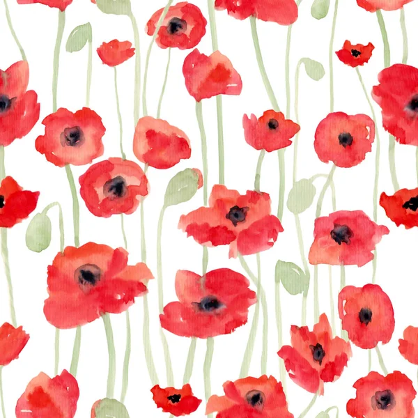 Beyaz yalıtılmış arka planda güzel tasarım için sapları ve tomurcukları olan kırmızı gelincikli suluboya desenleri. Suluboya soyut sanat