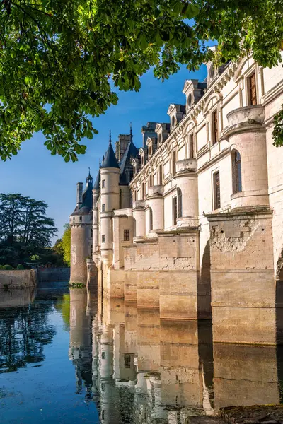 Vertical View Famous Chenonceau Castle Reflected Loire Valley Tours France Royalty Free Stock Photos