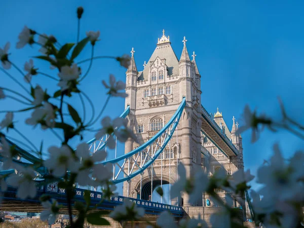 ロンドンの象徴的で有名な歴史的ランドマークの眺め 晴れた日のタワーブリッジ ストック写真
