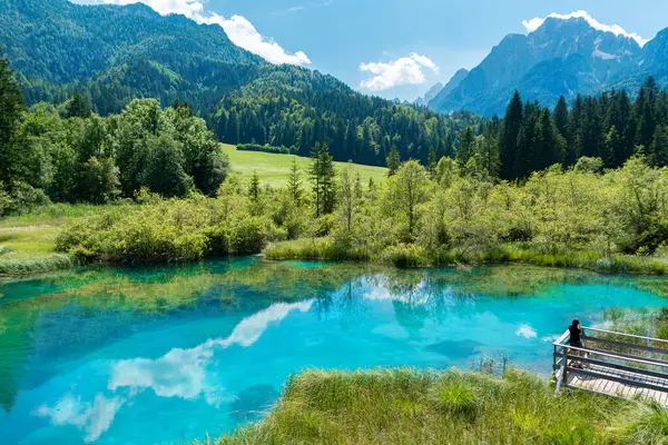 Schöne Landschaft Stausee Jasna Umgeben Von Wäldern Und Alpengipfeln Hintergrund lizenzfreie Stockbilder