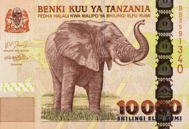 Fil, Tanzanya 'dan Portre 10000 Şilin 2003 Banknotlar. 