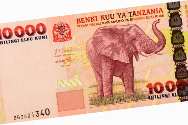 Fil, Tanzanya 'dan Portre 10000 Şilin 2003 Banknotlar. 