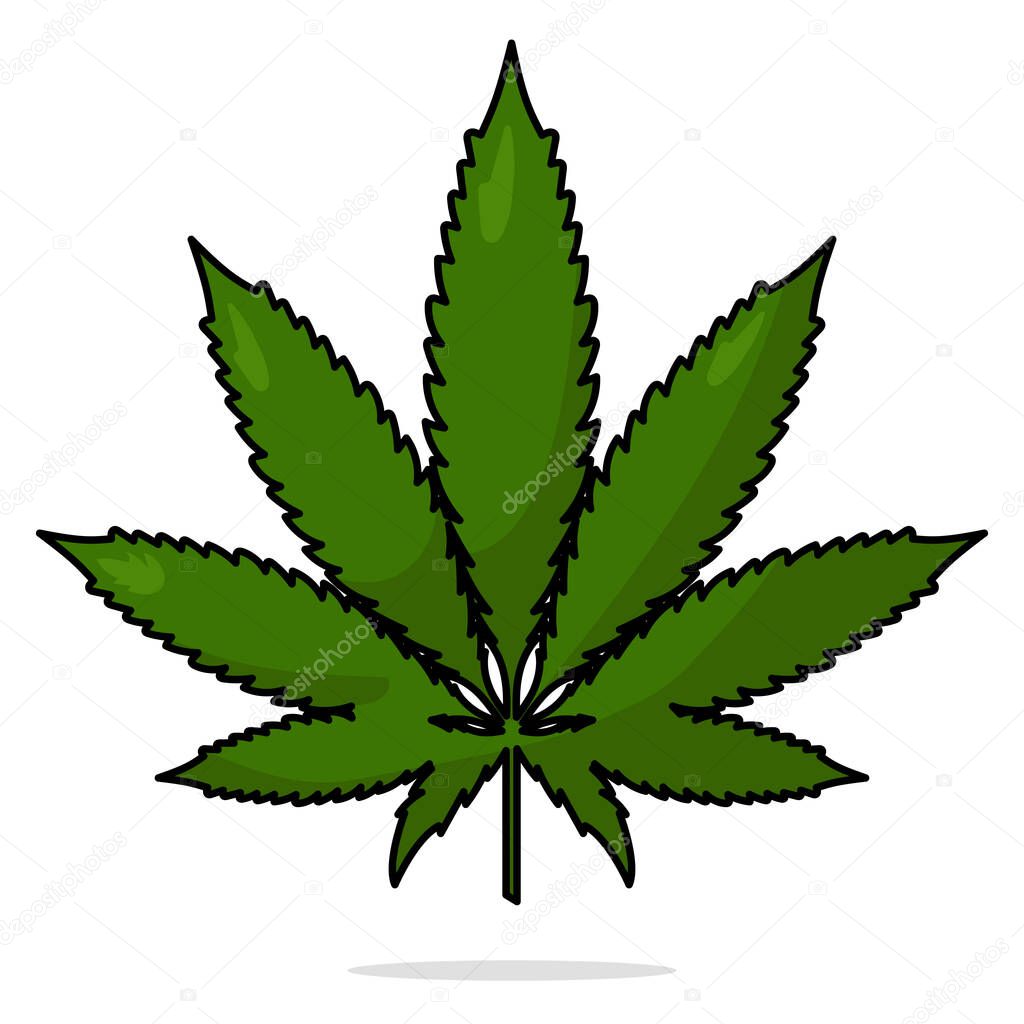 Cannabis leaf cartoon style vector image
