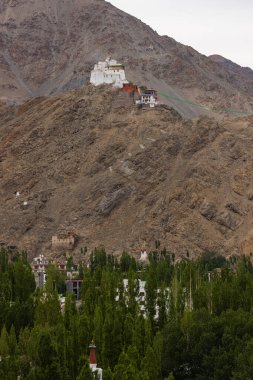 10 Ağustos 2023 'te Hindistan, Ladakh' taki Namgyal Tsemo Leh kasabasının ünlü bir simgesinin yakın görüntüsü.