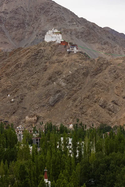 Vista Perto Marco Famoso Cidade Leh Namgyal Tsemo Ladakh Índia — Fotografia de Stock