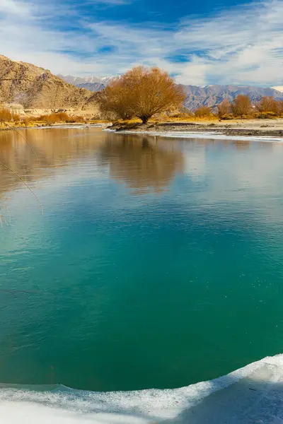 stock image Beautiful landscape of Indus River flowing with a tree and snow on its banks