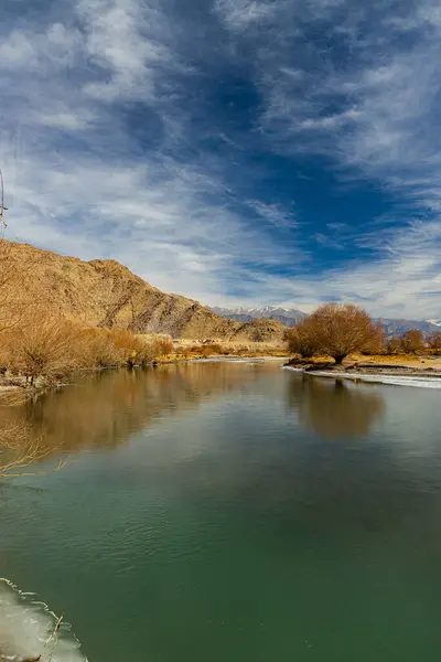 stock image Beautiful landscape of Indus River flowing with a tree and snow on its banks