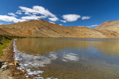 Yayatso kıyılarında tuzlu su oluşumu, Ladakh, Hindistan 'da yüksek irtifada bir göl. 4820 metrelik yeni bir biyolojik çeşitlilik noktası..  