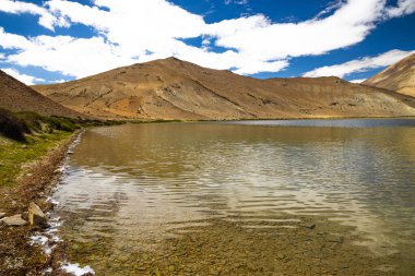 Yayatso kıyılarında tuzlu su oluşumu, Ladakh, Hindistan 'da yüksek irtifada bir göl. 4820 metrelik yeni bir biyolojik çeşitlilik noktası..  