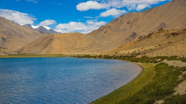 Yayatso kıyısında otlaklar, Ladakh, Hindistan 'da yüksek rakımlı bir göl. 4820 metrelik yeni bir biyolojik çeşitlilik noktası..  