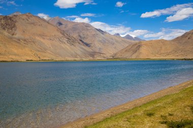 Grasslands at the banks of Yayatso, a high-altitude lake at Ladakh, India. A new biodiversity hotspot at an attitude of 4820 meters.   clipart