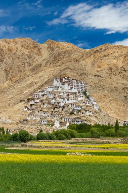 Önünde sarı hardal tarlaları olan Leh, Ladakh 'taki bir köyde eski bir Tibet manastırı. 8 Temmuz 2024 'te tıklandı.