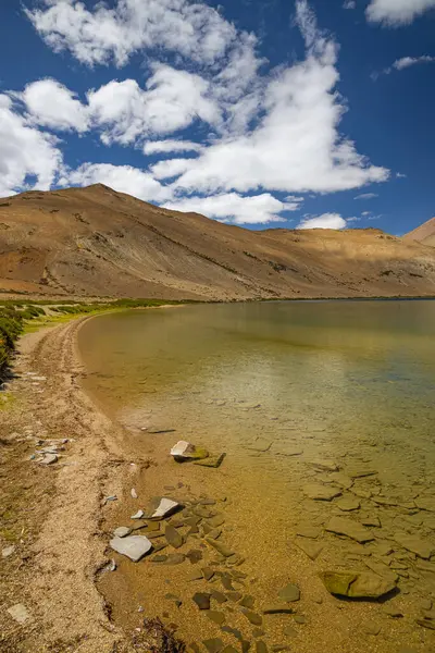 stock image Saltwater formation at the banks of Yayatso, a high-altitude lake at Ladakh, India. A new biodiversity hotspot at an attitude of 4820 meters.  