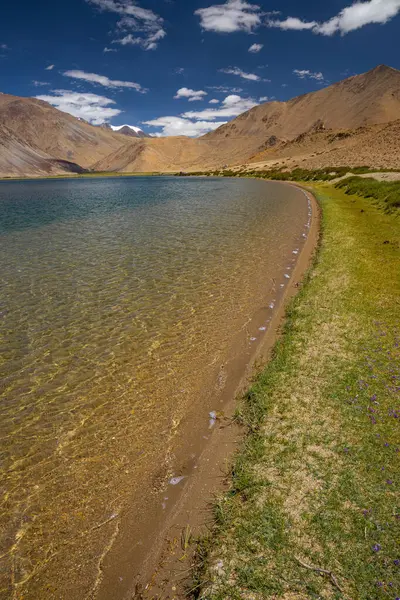 stock image Grasslands at the banks of Yayatso, a high-altitude lake at Ladakh, India. A new biodiversity hotspot at an attitude of 4820 meters.  