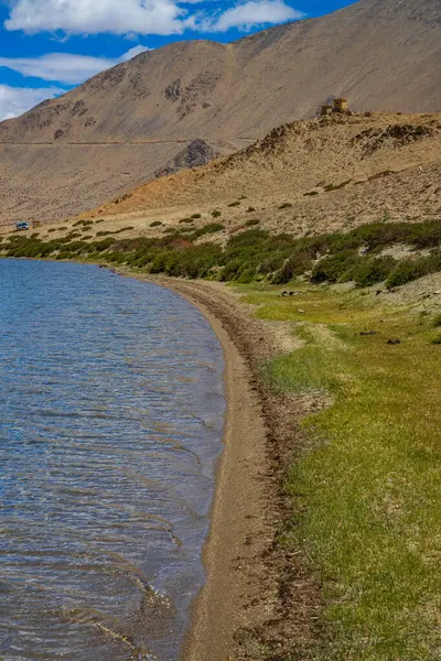 stock image Grasslands at the banks of Yayatso, a high-altitude lake at Ladakh, India. A new biodiversity hotspot at an attitude of 4820 meters.  