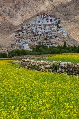 Önünde sarı hardal tarlaları olan Leh, Ladakh 'taki bir köyde eski bir Tibet manastırı. 8 Temmuz 2024 'te tıklandı.