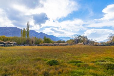 Sonbahar mevsiminde ağaçlı, dağlı ve bulutlu yeşil ve altın çimenlerin manzarası.