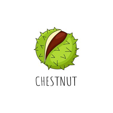 fındık vektör çizim logo şablonu. Kestane logosu