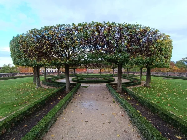 Dairesel Şekilli Ağaçlardan Çalılardan Yapılmış Bakımlı Budanmış Bir Bahçe — Stok fotoğraf