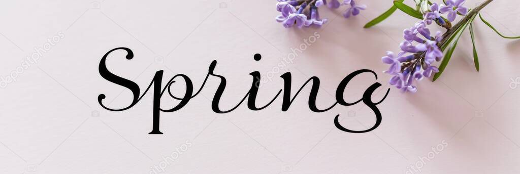 Background with text Spring and flowers