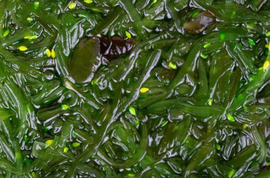 Chuka deniz yosunu arka planını kapatın.