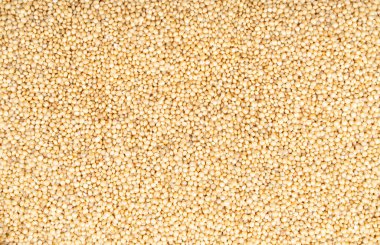 Dağınık beyaz kinoa tohumlarının arka planı