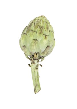 Taze sebze enginarı beyaz arka planda izole edilmiş, üst görünümde.