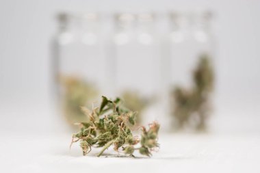 Kişisel kullanım için esrar, yasal hafif uyuşturucu reçetesi, alternatif