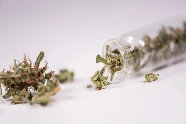 Cannabis Para Uso Pessoal Drogas Leves Legais Prescrever Alternat — Fotografia de Stock