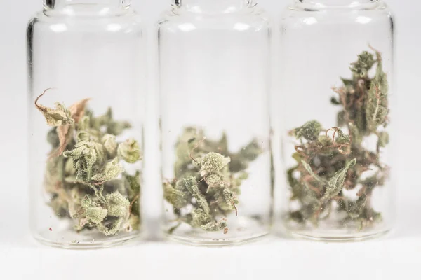 Cannabis Für Den Persönlichen Gebrauch Legale Leichte Drogen Verschrieben Alternativ — Stockfoto