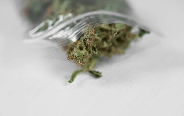 Cannabis Voor Persoonlijk Gebruik Legale Lichte Drugs Voorschrijven Alternatief — Stockfoto