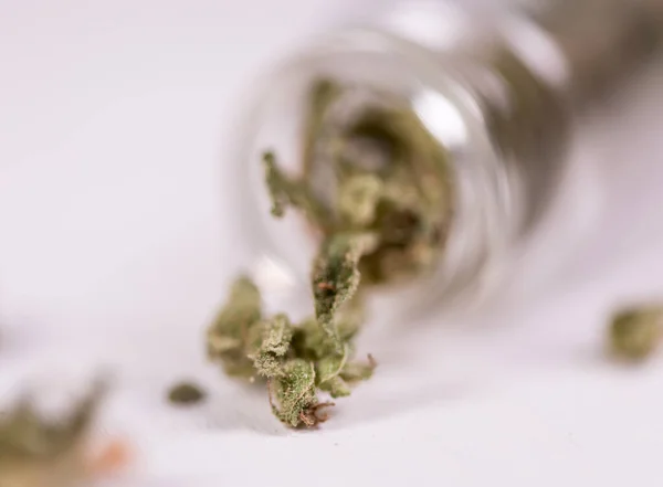 Kannabisz Személyes Használatra Legális Könnyű Gyógyszerek Felírása Alternat — Stock Fotó