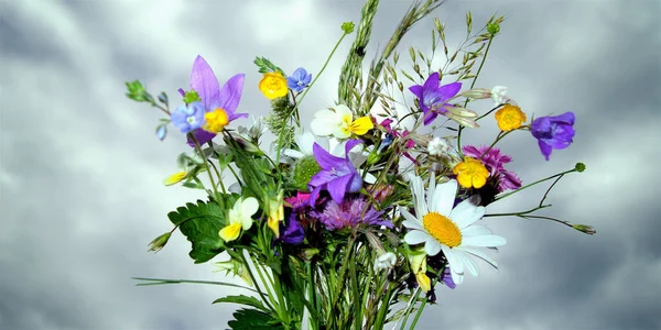 Ramo Flores Pradera —  Fotos de Stock