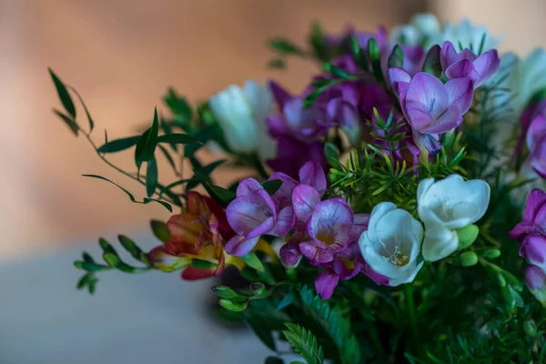 Blommande Rgglada Blommor Trã Dgã Rden — Stockfoto
