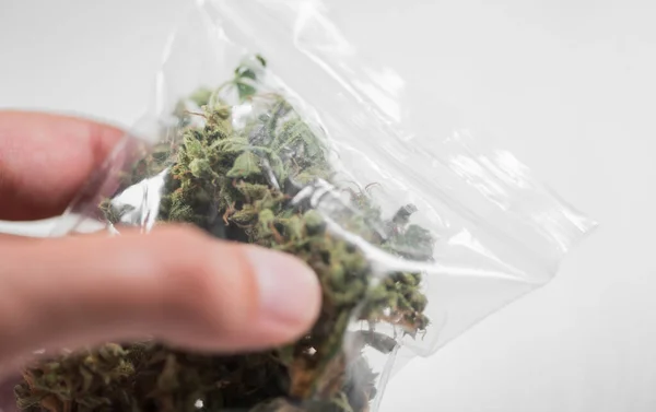 Cannabis För Personligt Bruk Receptbelagd Narkotika Alternat Stockbild