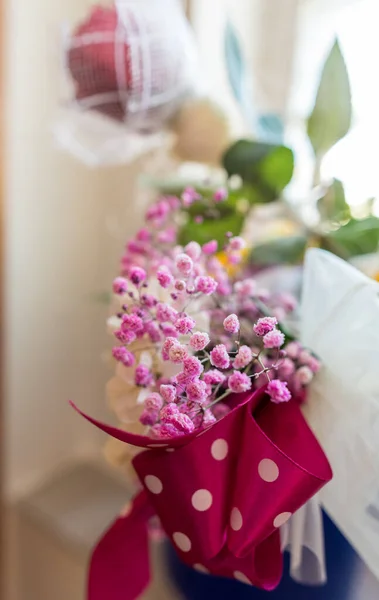 Färgglada Skönhet Säsongsblommor Blommor — Stockfoto