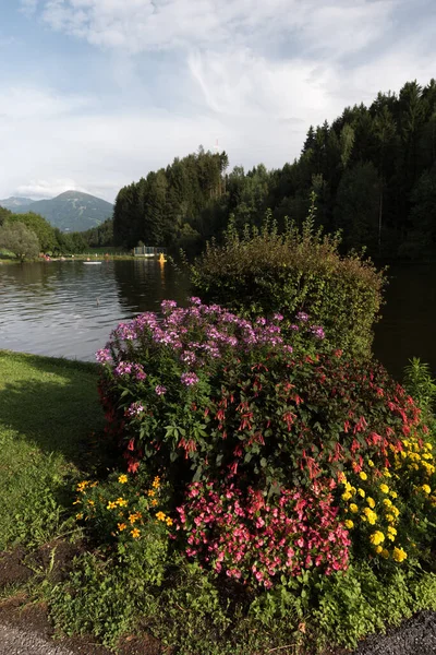 Stock image Landscape concept. Blossom colorful seasonal flowers.