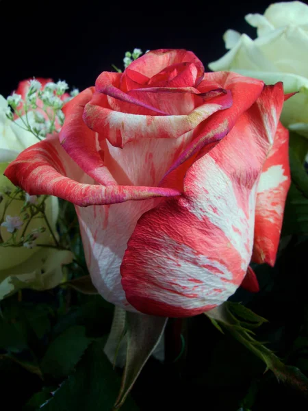 Κόκκινο Και Λευκό Γάμο Πολύχρωμο Μπουκέτο Λουλούδια — Φωτογραφία Αρχείου