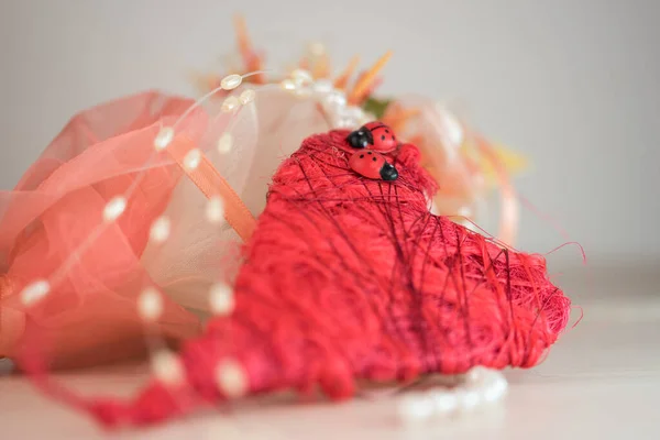 Corazón Rojo San Valentín Con Mariquitas Flores —  Fotos de Stock