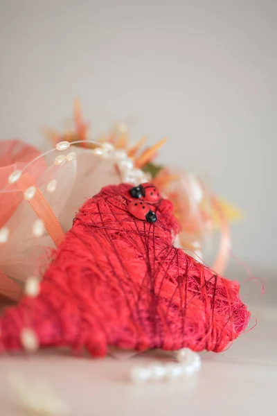 Coração Vermelho Dos Namorados Com Joaninhas Flores — Fotografia de Stock