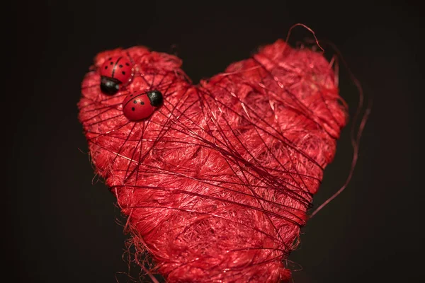 Corazón Rojo San Valentín Con Mariquitas Flores — Foto de Stock