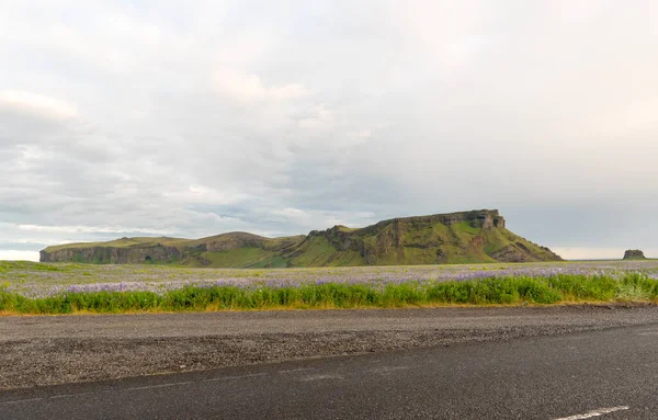 アイスランドへの旅行 道路と壮大なアイスランドの風景 — ストック写真