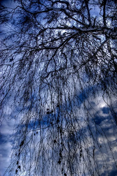 Winterbrise Und Blauer Himmel — Stockfoto