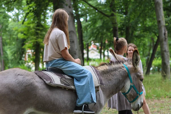 Молодая Девушка Лошадью — стоковое фото